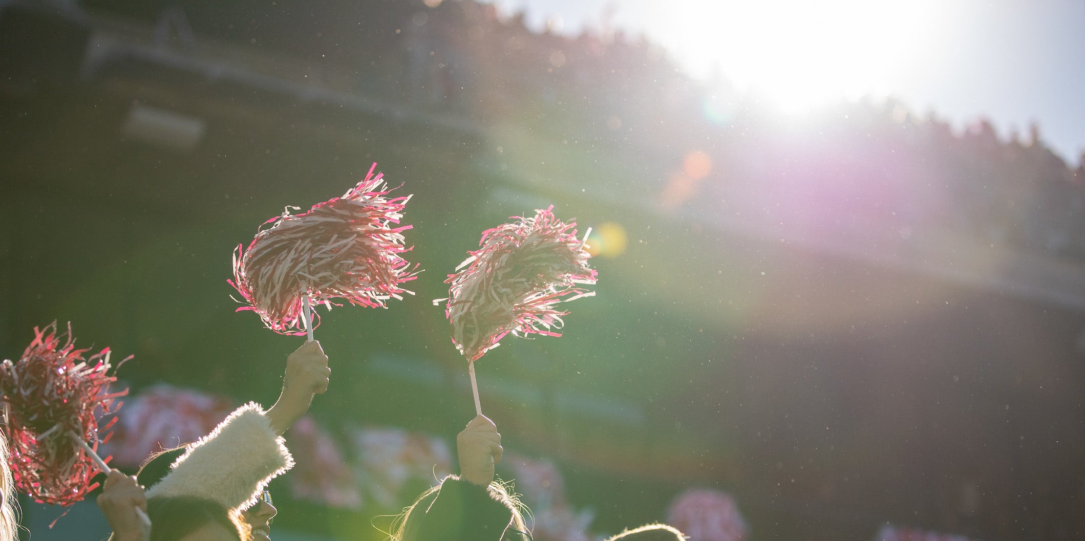 Close-up of shakers during a football game